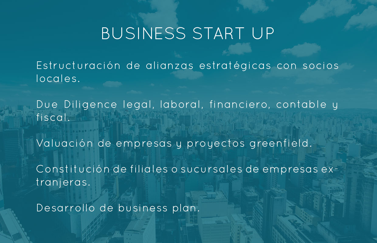 Bral Consultores Brasil Argentina Empresa Business Negocios Bilateral Consultoría Consultant Enterprise